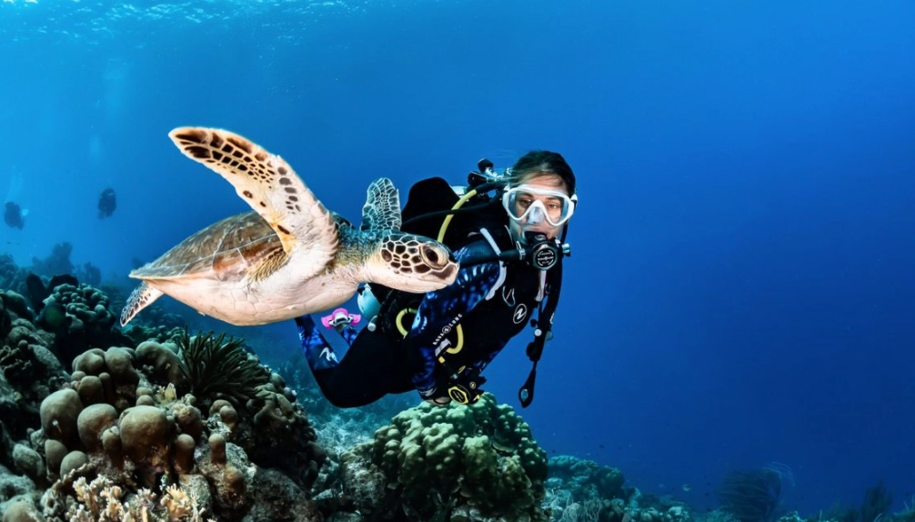 scuba diving Similan Islands