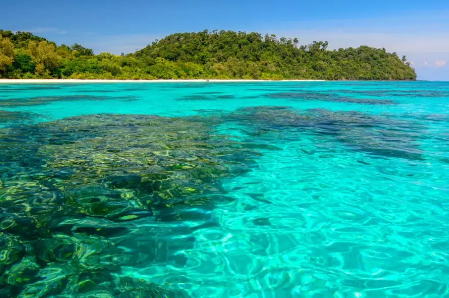 Similan Islands diving