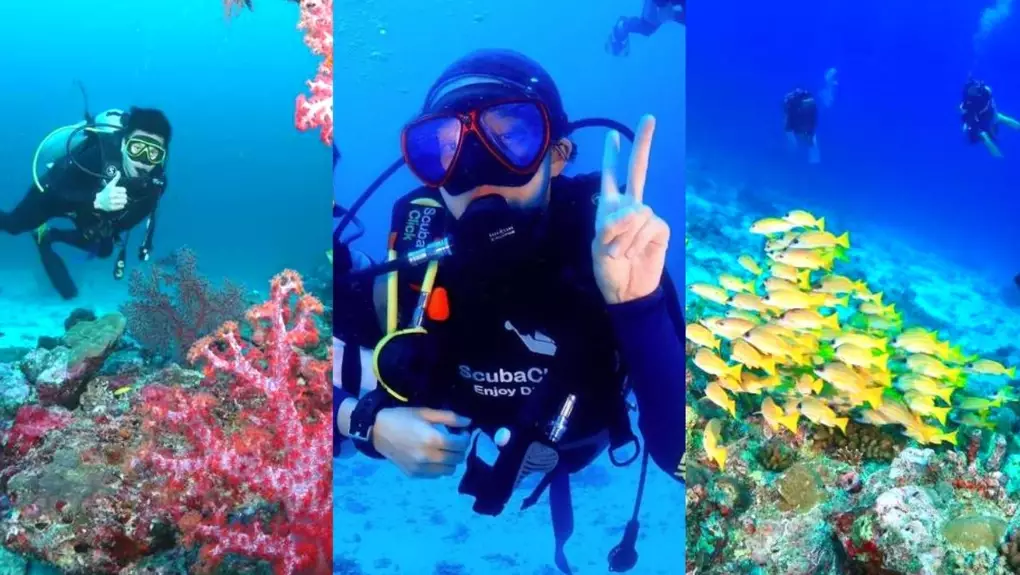 scuba diving Thailand