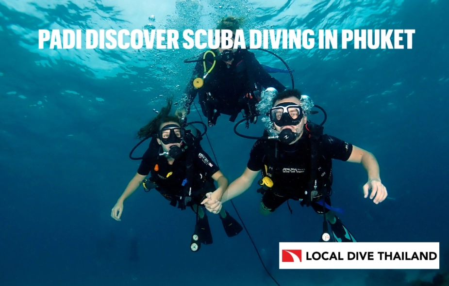 learn to dive Phuket