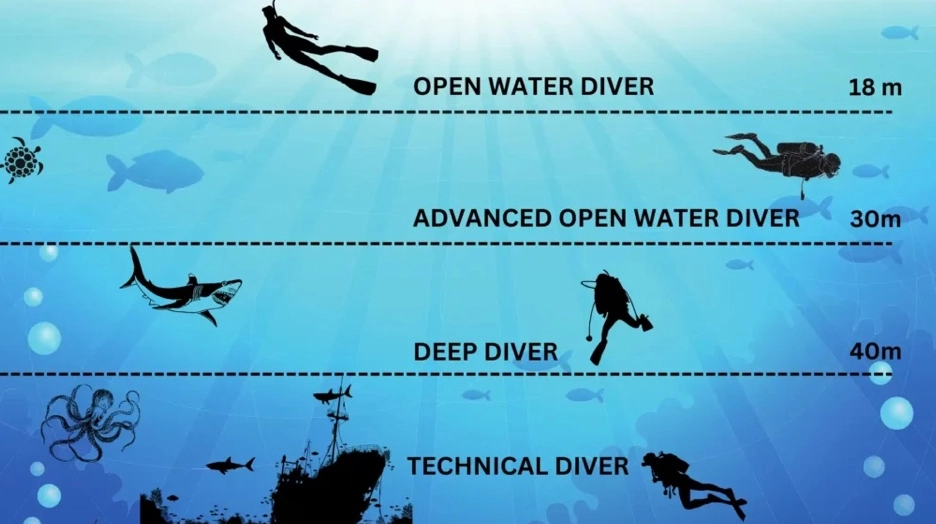 proper way to dive
