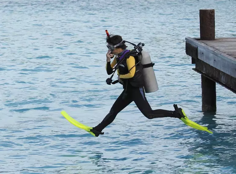 What is the proper way to dive?