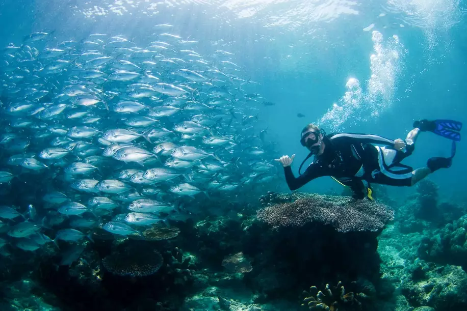 how to dive safely