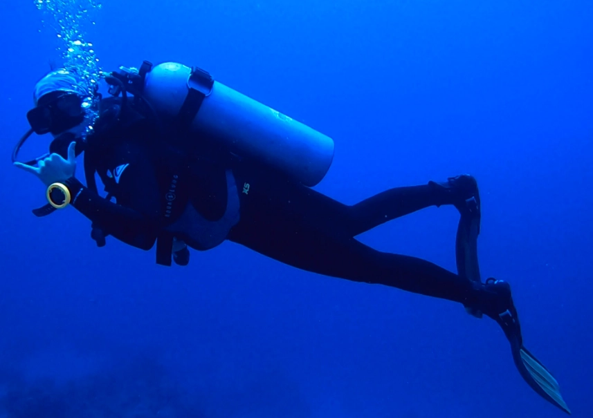 What is the proper diving technique for beginners