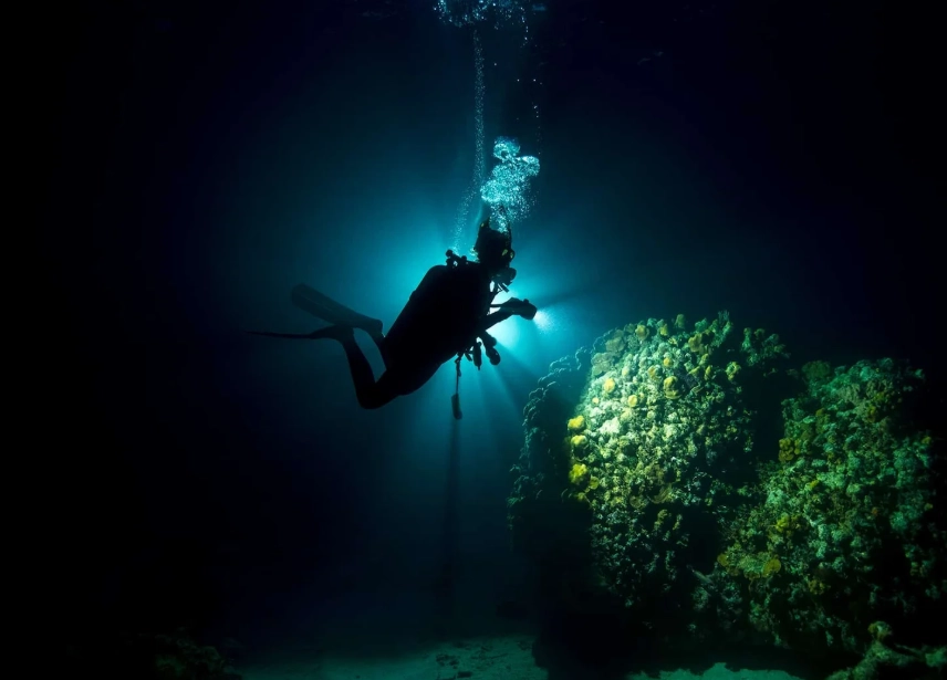 dive classifications dive classifications
