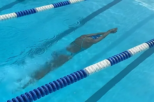 swimming dive techniques swimming dive techniques