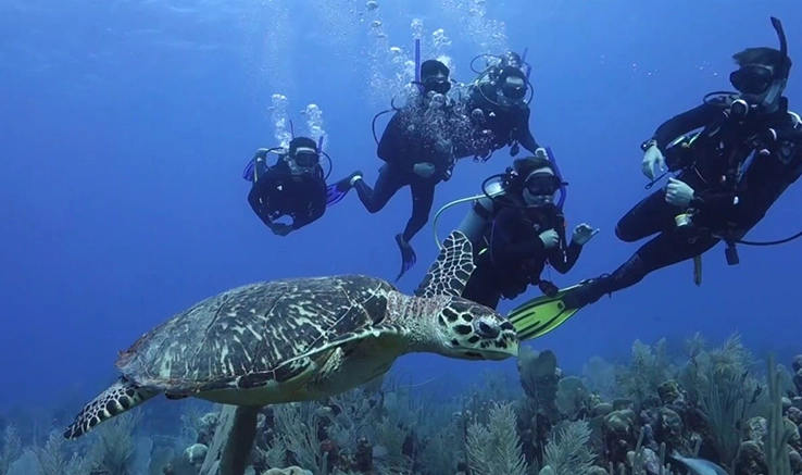 scuba diving Mexico scuba diving Mexico