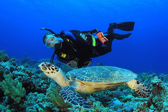 diving Cozumel diving Cozumel