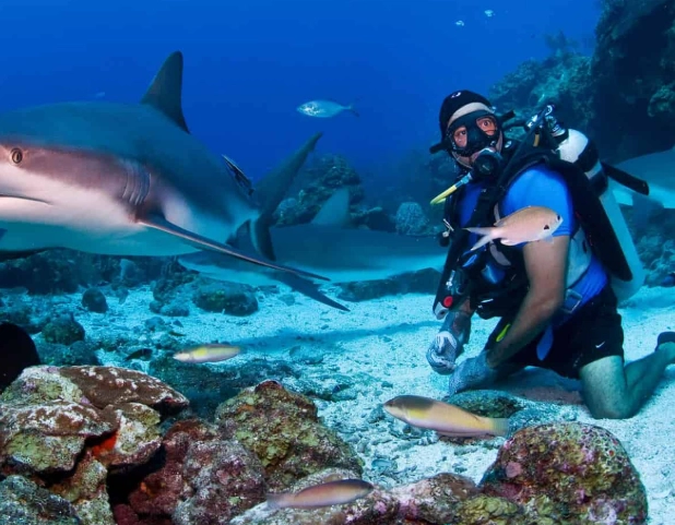 technical diving
